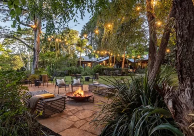 uj3c3oqlnq2u05nsl2ec