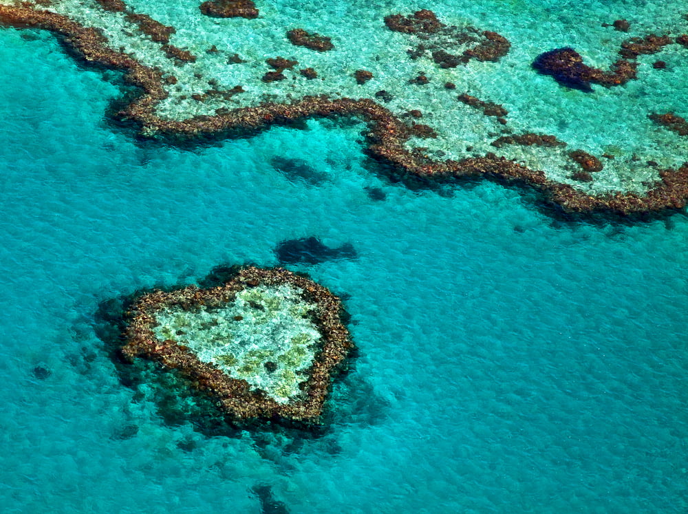 Australia Great Barrier Reef Multiseek Shutterstock