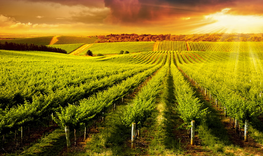 Flight Specials to Adelaide with ‘ I want that flight’