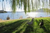 The Riverfront Hobart “Weekly Lunch Specials”