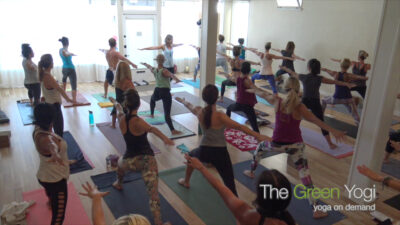 the-green-yogi