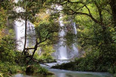 daintree-cassowary-falls-queensland